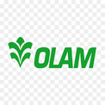 OLMAM